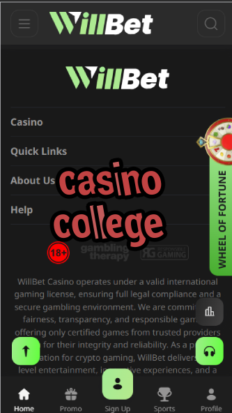 Casino College - Learn Professional Gambling Strategies-casinoorder.vip