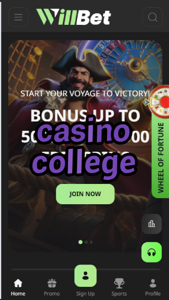 Casino College - Learn Professional Gambling Strategies-casinoorder.vip